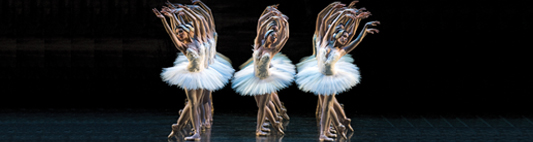 Company Dancers header Company Dancers header